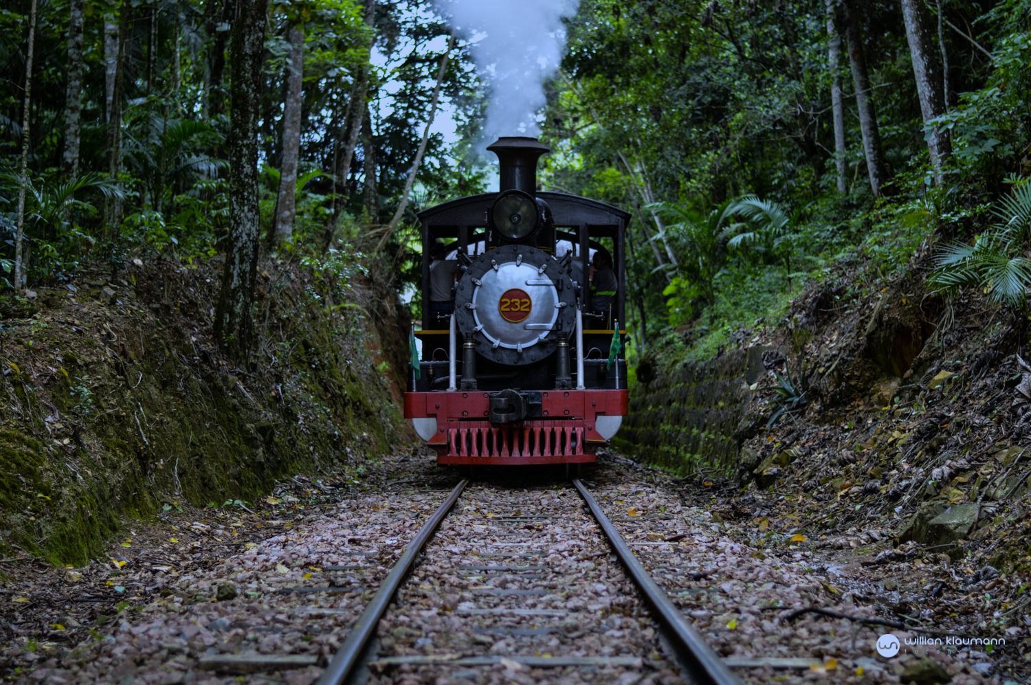 Passeio de Trem em Apiúna Santa Catarina